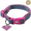 COLLAR PARA PERROS XXS/XS SUPERMAN PINK