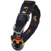 COLLAR PARA PERROS DISNEY PRIDE BLACK - Imagen 2