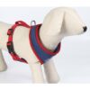 ARNÉS PREMIUM PARA PERROS XS/S DC PETS BLUE - Imagen 3