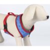 ARNÉS PREMIUM PARA PERROS XS/S DC PETS BLUE - Imagen 4