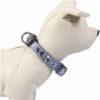 COLLAR PREMIUM PARA PERROS XXS/XS DISNEY VILLANAS GRAY - Imagen 3