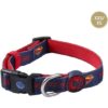 COLLAR PREMIUM PARA PERROS XXS/XS DC PETS BLUE