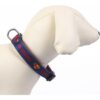COLLAR PREMIUM PARA PERROS XS/S DC PETS BLUE - Imagen 3