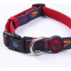COLLAR PREMIUM PARA PERROS XS/S DC PETS BLUE - Imagen 4