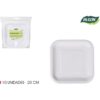 SET-10 PLATO CUAD.CART NATURAL 20CM ALGON - Imagen 2