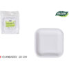 SET-10 PLATO CARTON CUAD. L/SOJA 20CM ALGON - Imagen 2