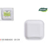 SET-100 PLATO CARTON CUAD. L/SOJA 20CM ALGON