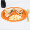 SET-10 PLATO CARTON NARANJA SOJA 20 ALGON - Imagen 4