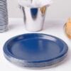 SET-10 PLATO CARTON AZUL L/SOJA 20C ALGON - Imagen 4